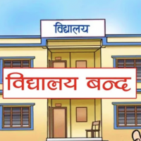 bibidh image